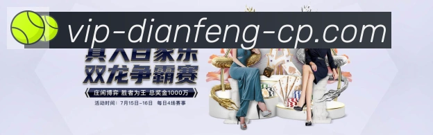 互动解说服务